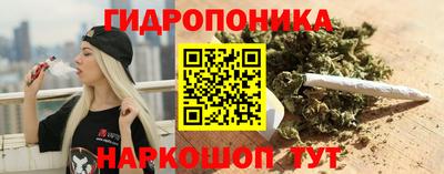 прущие грибы Конаково