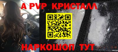 прущие грибы Конаково