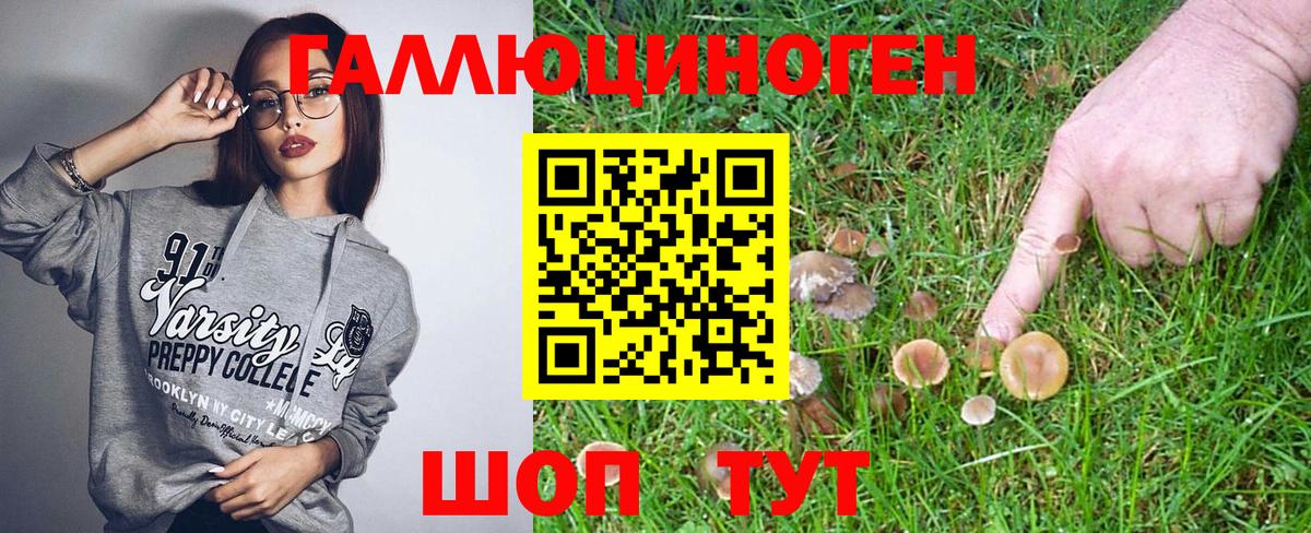 как найти закладки  Вход с VPN  Киселёвск  Галлюциногенные грибы Cubensis 