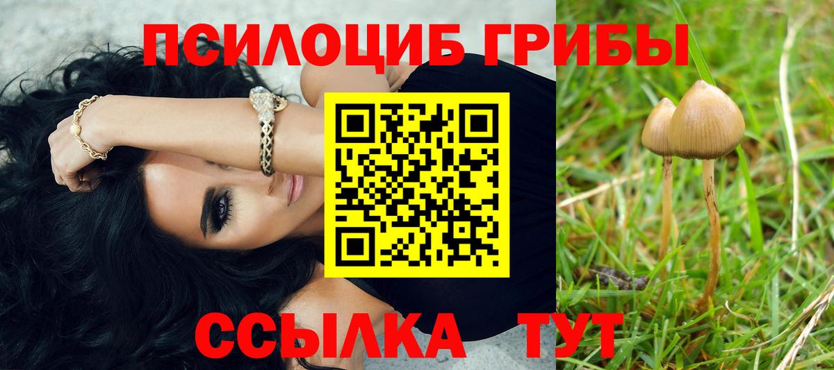 Галлюциногенные грибы MAGIC MUSHROOMS Киселёвск