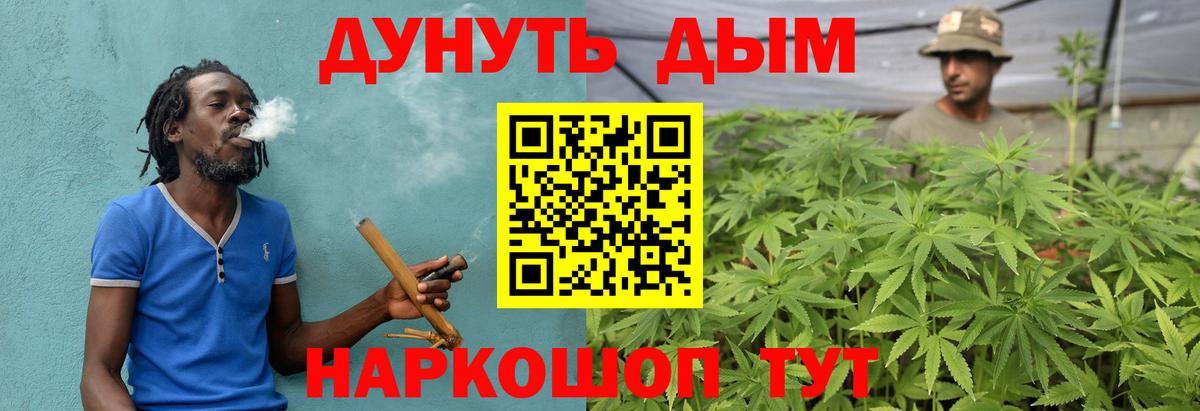 Бошки Шишки конопля Киселёвск